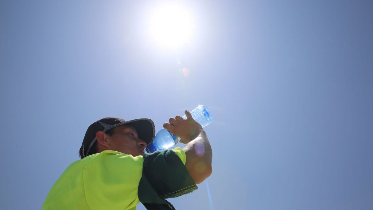 Tijuana Calor