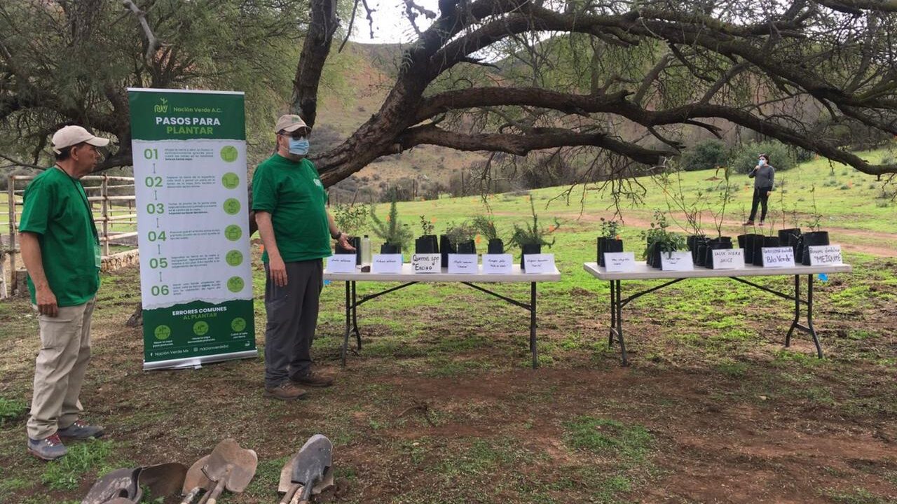 CESPT Reforestación en Valle de las Palmas