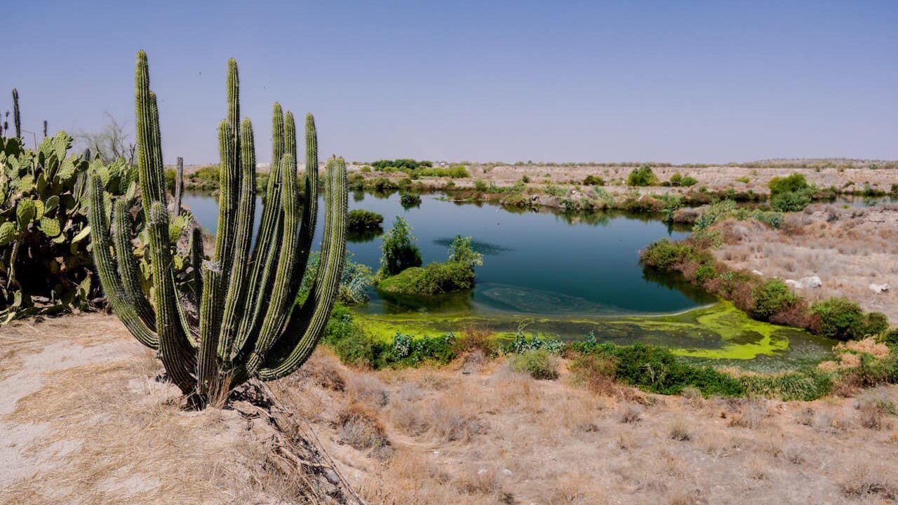 Hermosillo Sonora Calor