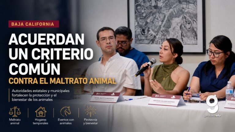 Baja California busca unificar criterios contra el maltrato animal