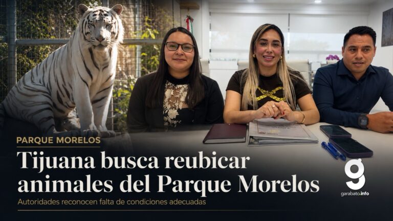 Tijuana prepara traslado de animales del Parque Morelos
