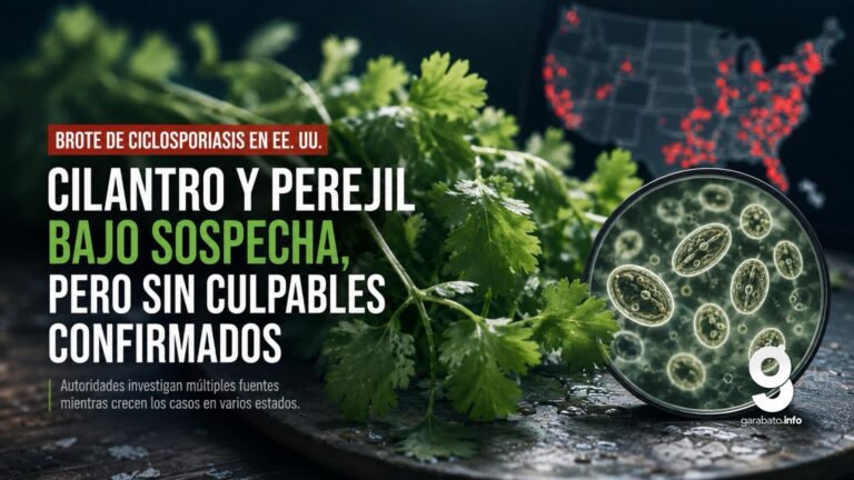 ¿El cilantro mexicano provocó el brote de ciclosporiasis en EE. UU.? Esto es lo que realmente se sabe