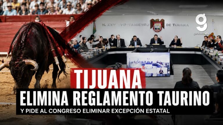 Tijuana elimina reglamento taurino y lleva debate al Congreso