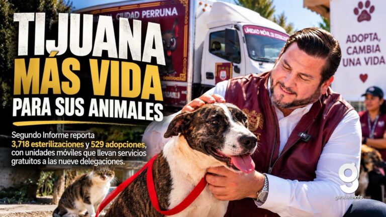 Tijuana suma 3 mil 718 esterilizaciones y 529 adopciones de perros y gatos