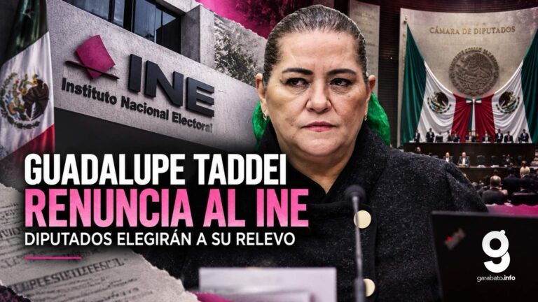 Guadalupe Taddei renuncia al INE: causas y quién la sustituirá