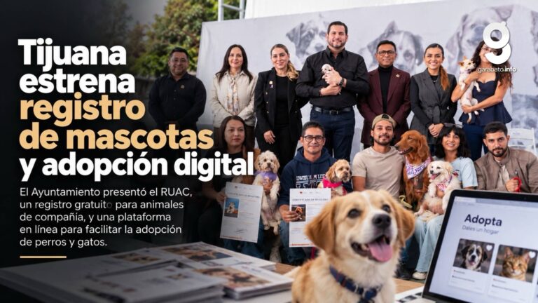 Tijuana lanza registro gratuito de mascotas y adopción digital