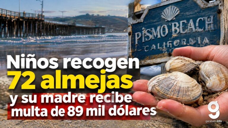 Niños recogen 72 almejas y su madre recibe multa de 89 mil dólares